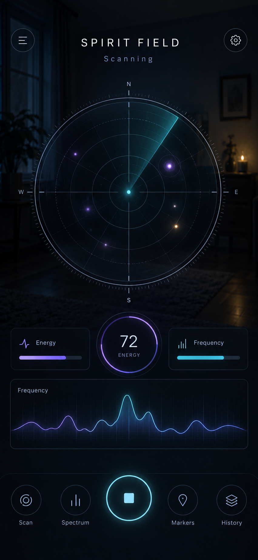 Spirit detector software interface